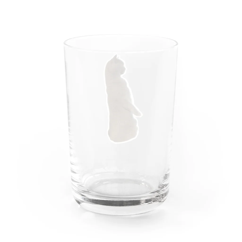 AGUのアグ(全身ミーアキャットVer.) Water Glass :back