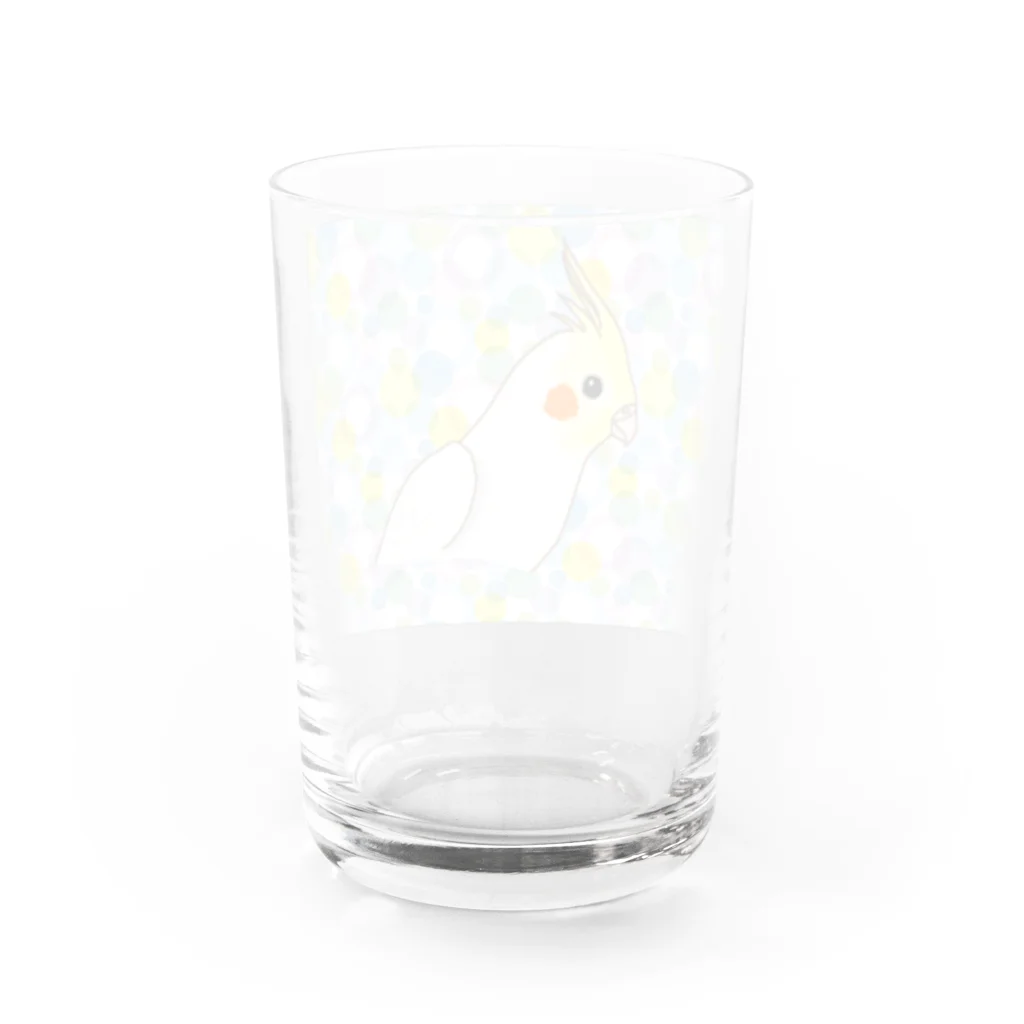 いんこちゃんショップのオカメいんこちゃん Water Glass :back