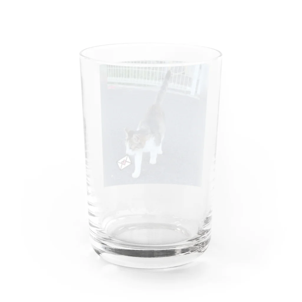 ながしっぽ from.さくらねこの家のながしっぽ　type.Ｊ Water Glass :back