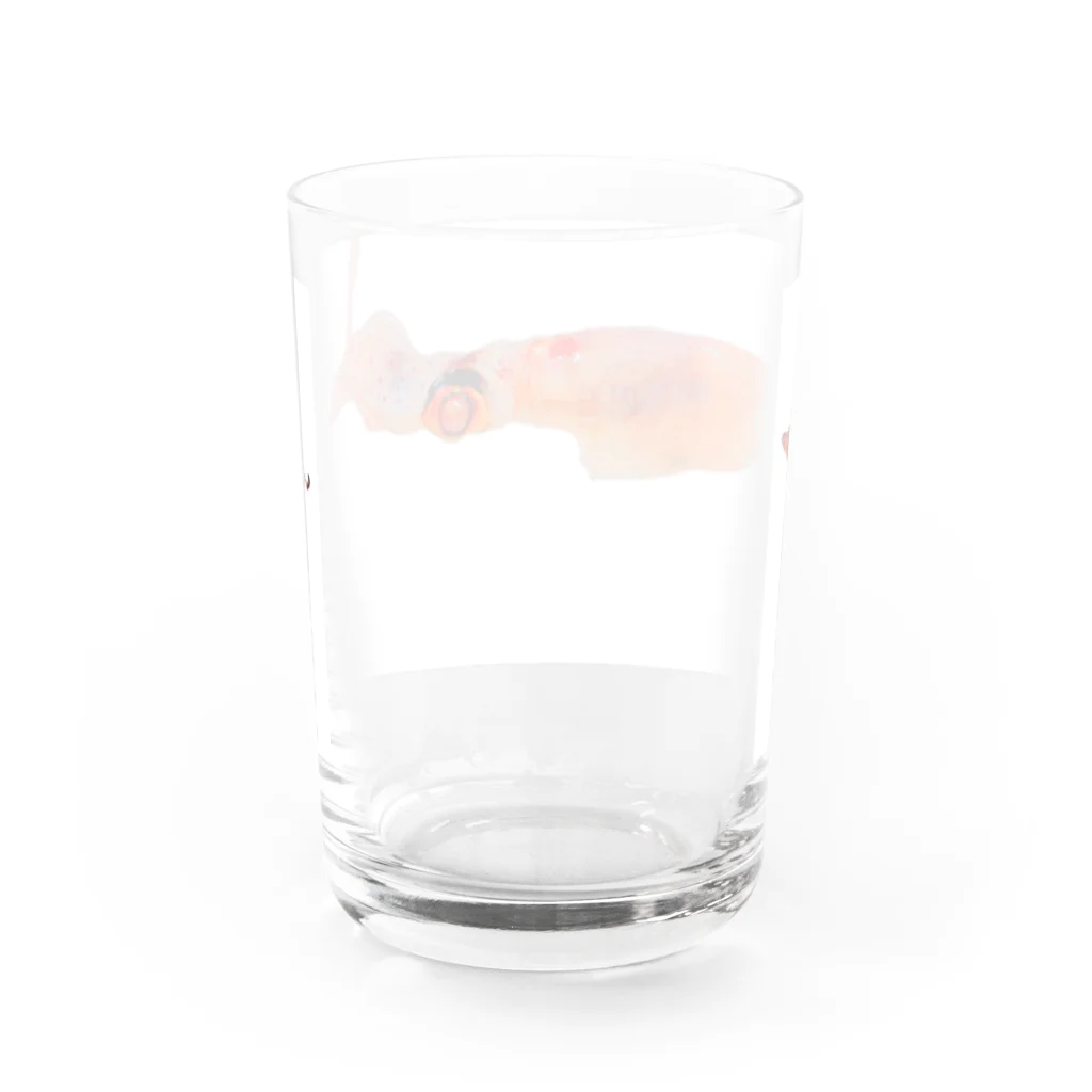 gypsy_mariaのsquid Water Glass :back