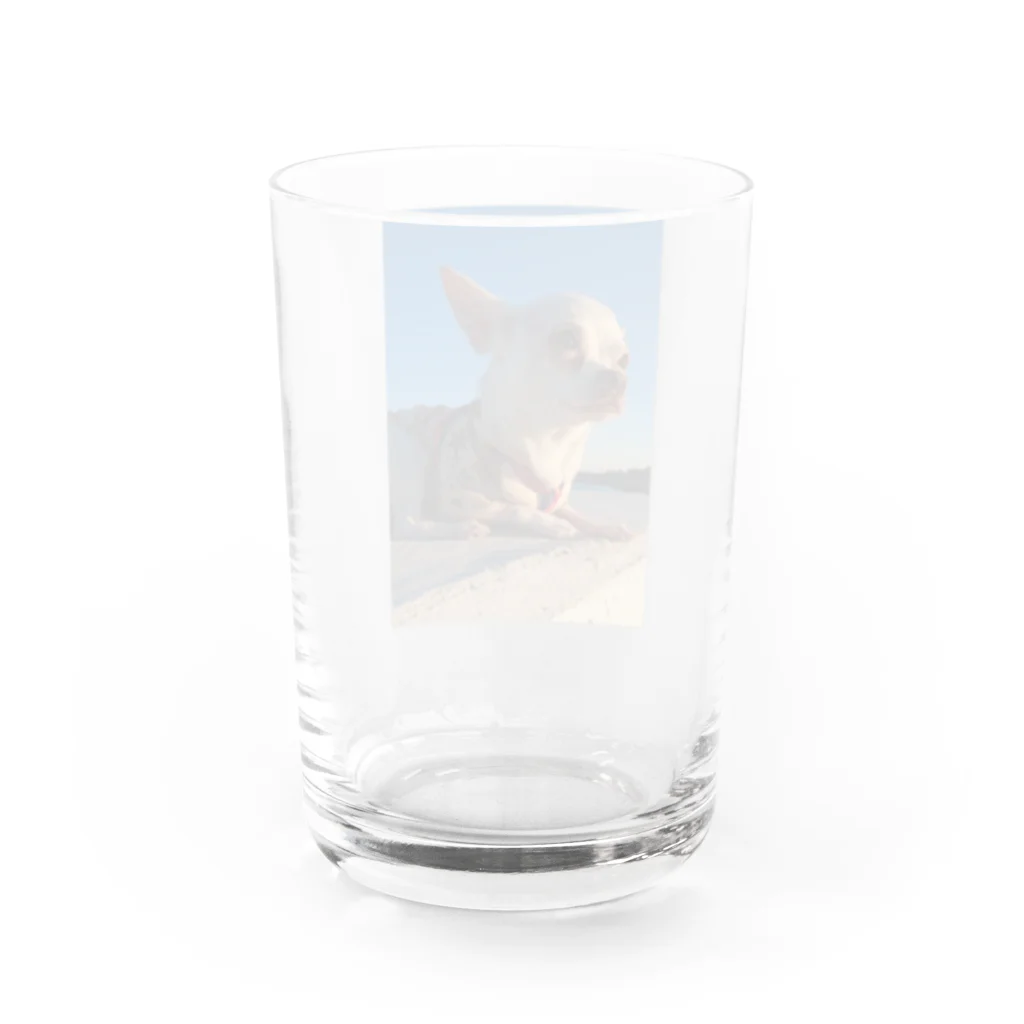 うめこずかんの海辺のうめこ１ Water Glass :back