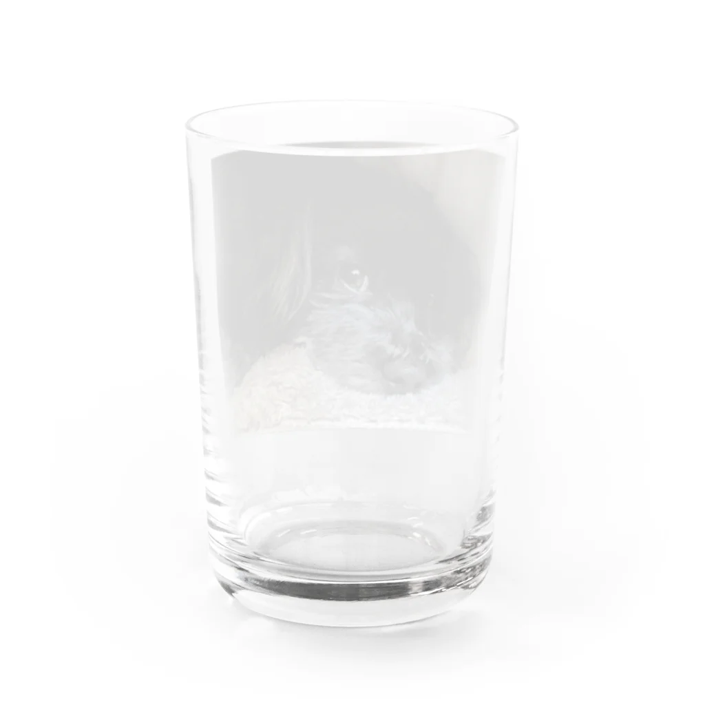 Soran-のくろいぽめぷー Water Glass :back