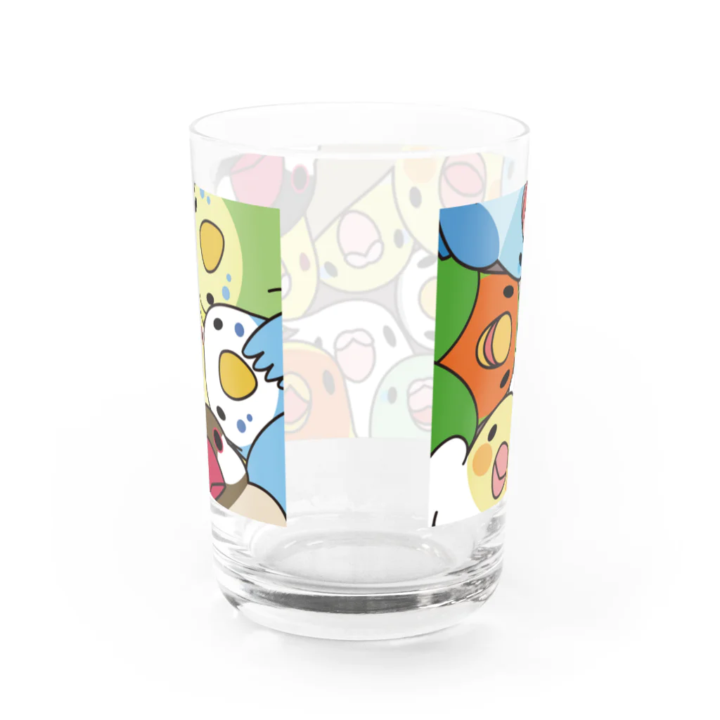 まめるりはことりのみっちりむっちり過密鳥まみれさん【まめるりはことり】 Water Glass :back