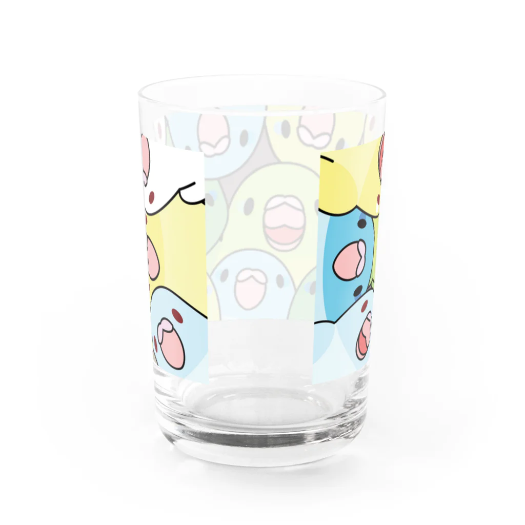 まめるりはことりのみっちりむっちり過密マメルリハさん【まめるりはことり】 Water Glass :back