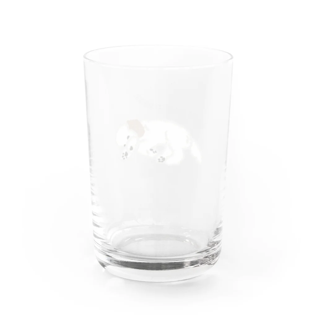 DOG FACEのトイプードル【わんデザイン 4月】 Water Glass :back