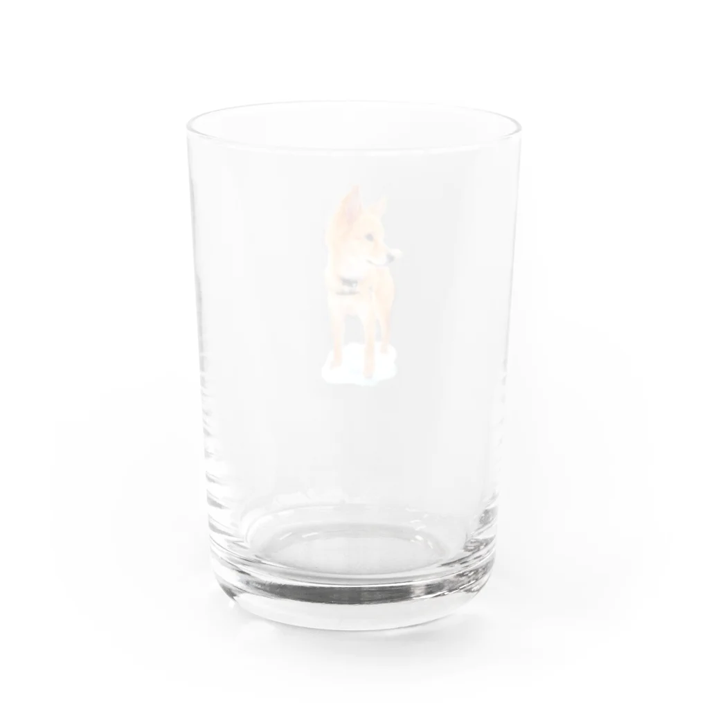 となりのももたんのももたんアイコン Water Glass :back