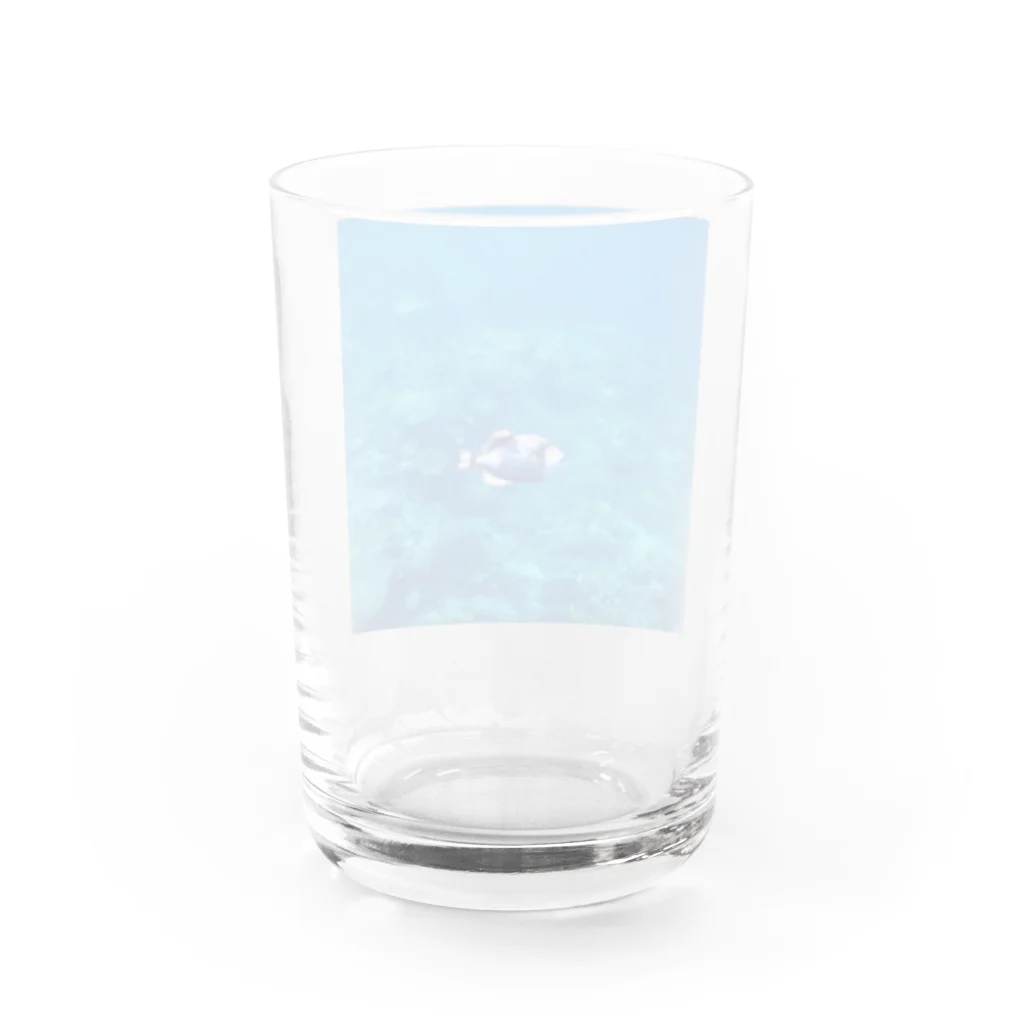 海とマッチョとKINTRAYの阿嘉島のゴマモン Water Glass :back