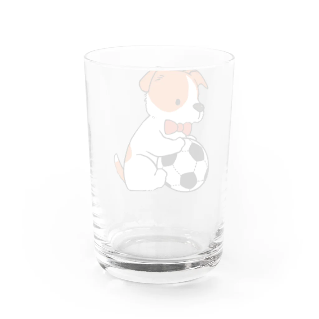 山村遥のジャックラッセルテリア　こいぬ Water Glass :back