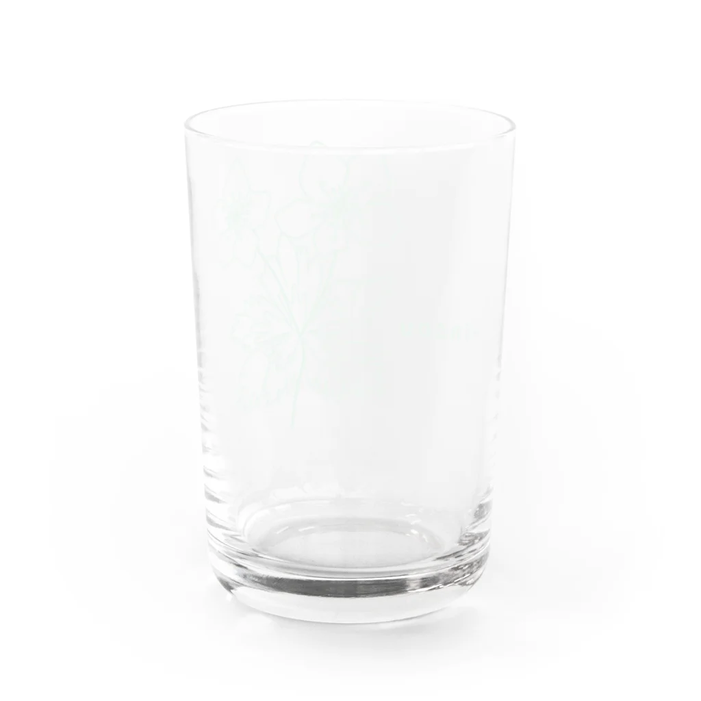 道草屋のニリンソウ -Nirinsou- Water Glass :back