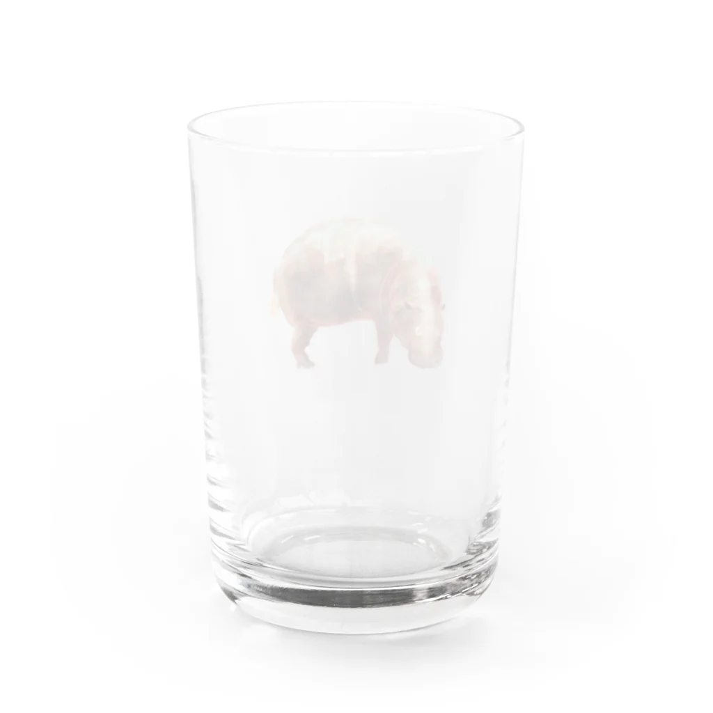 文様動物園 Pattern Zoo Museum shopの算木崩し × コビトカバ Water Glass :back