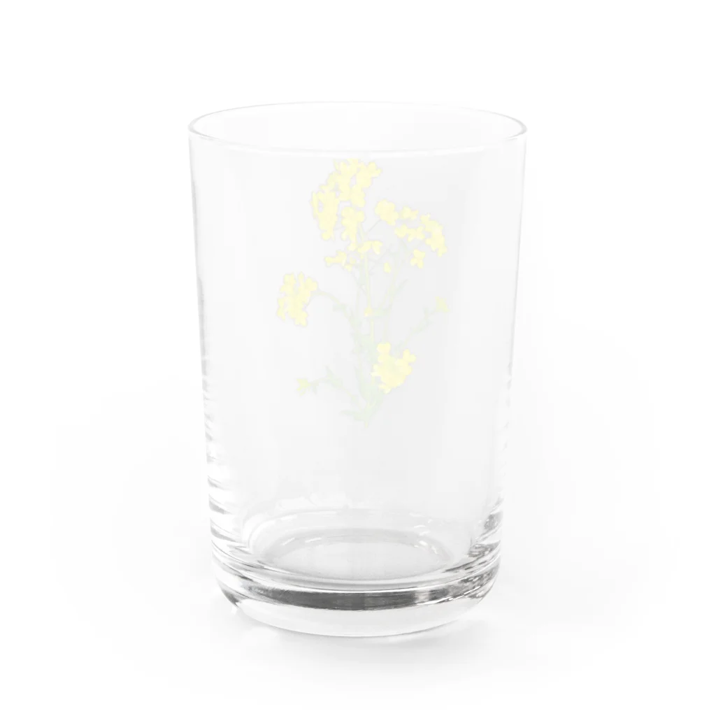 とりとっと観光案内所の菜の花 Water Glass :back