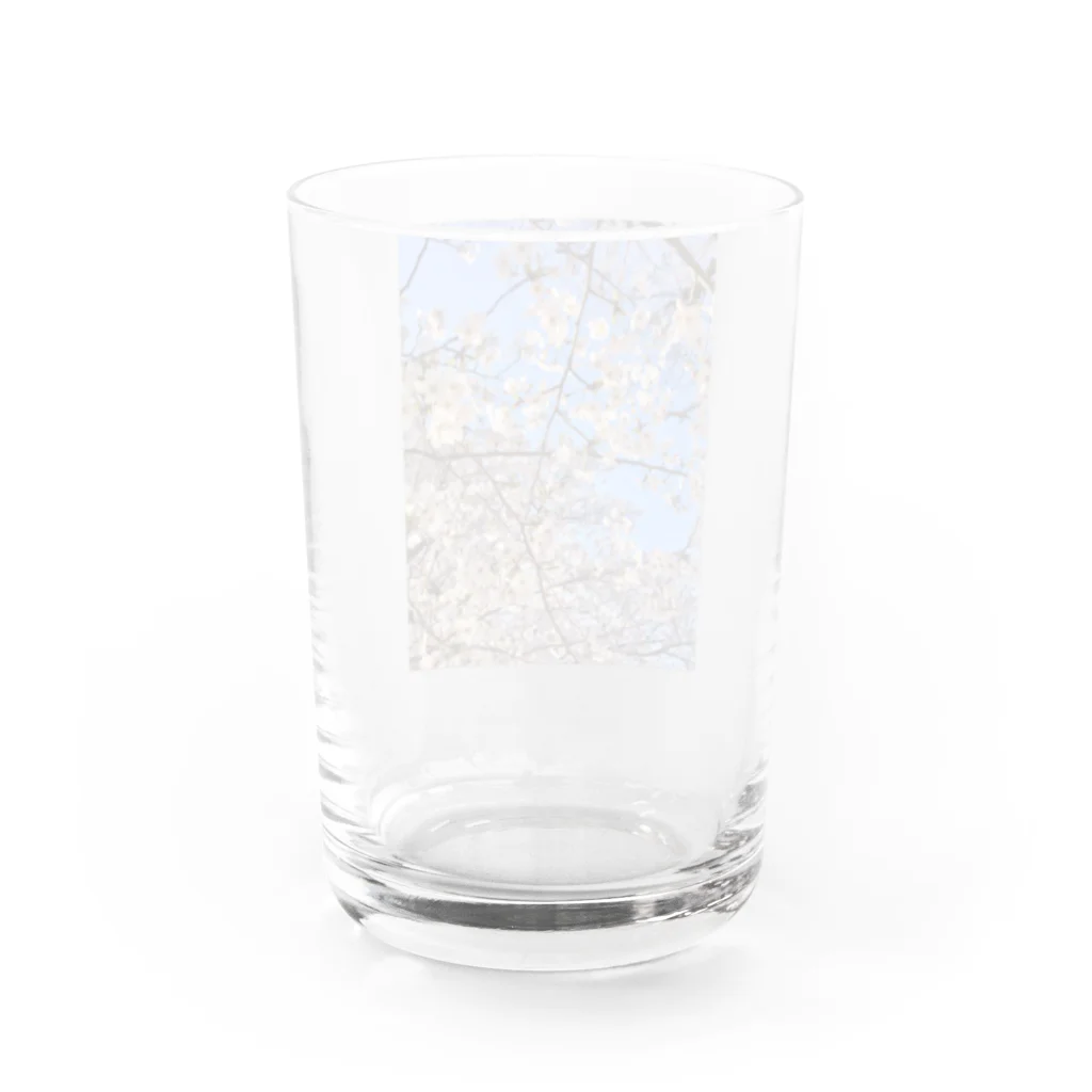 Fleurisseの桜香 Water Glass :back