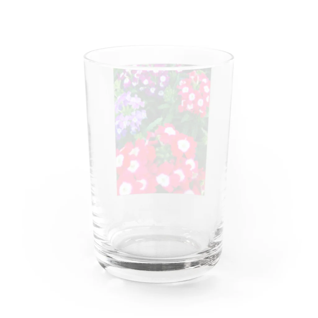 メロ吉❤️の今日のラッキーカラーは何？ Water Glass :back