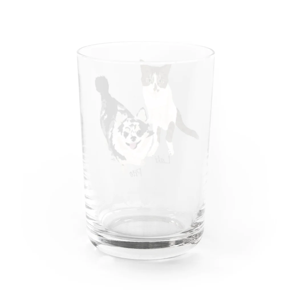 Letiのラキ、ピト Water Glass :back