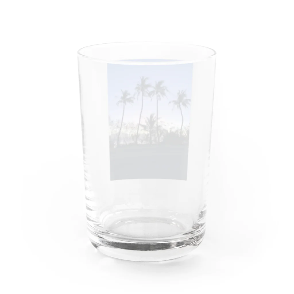 TomTomsanのguam Water Glass :back