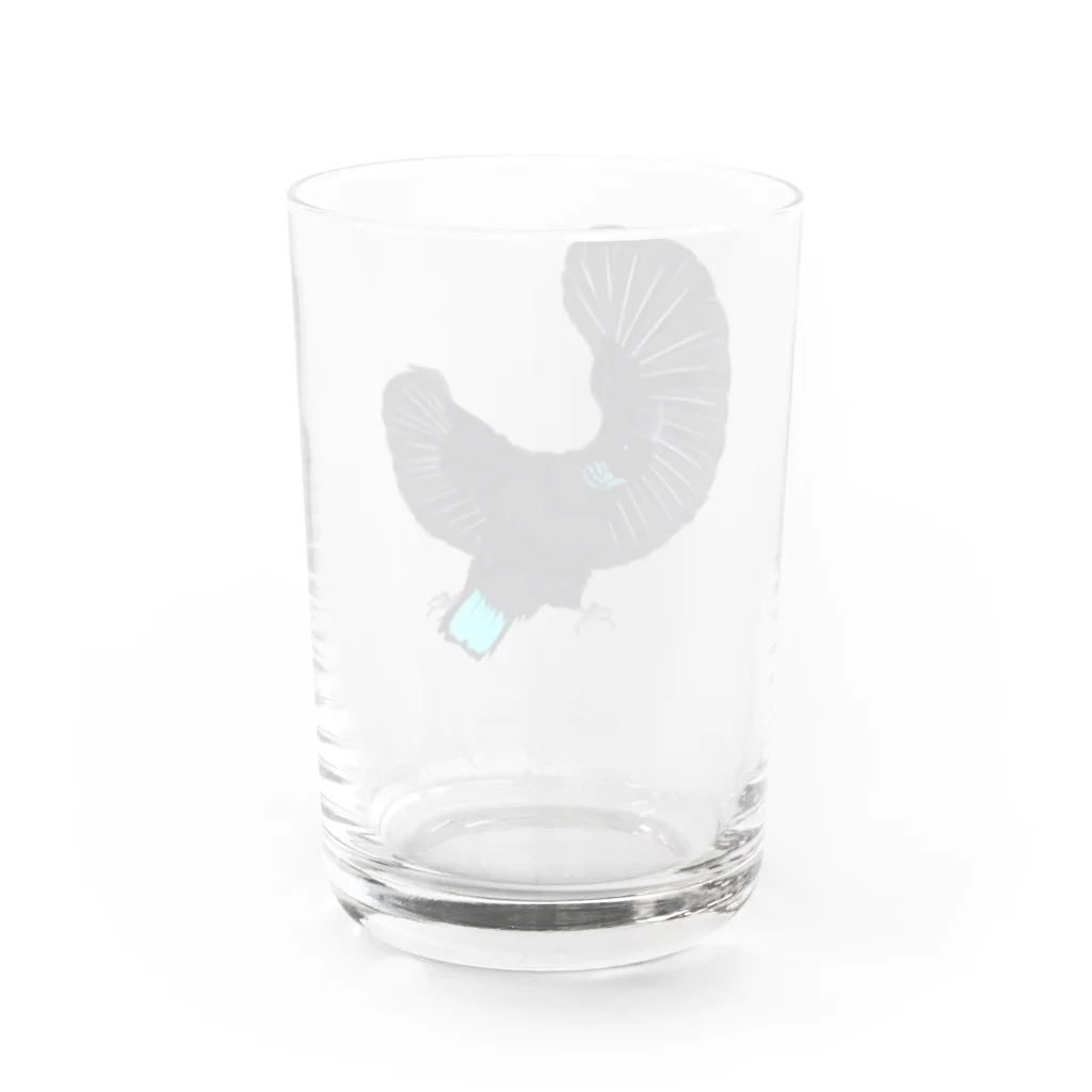 Generousのコウロコフウチョウ Water Glass :back