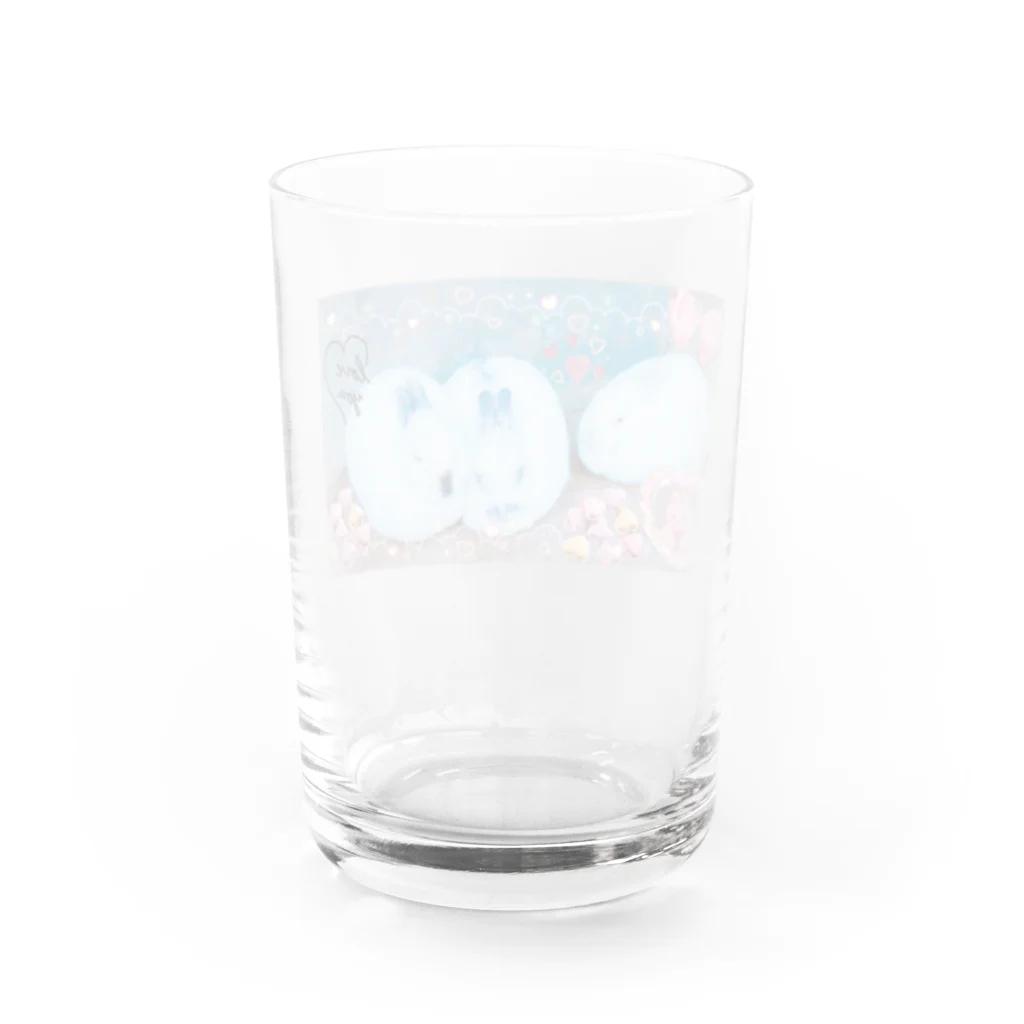 神丸のウサギ Water Glass :back