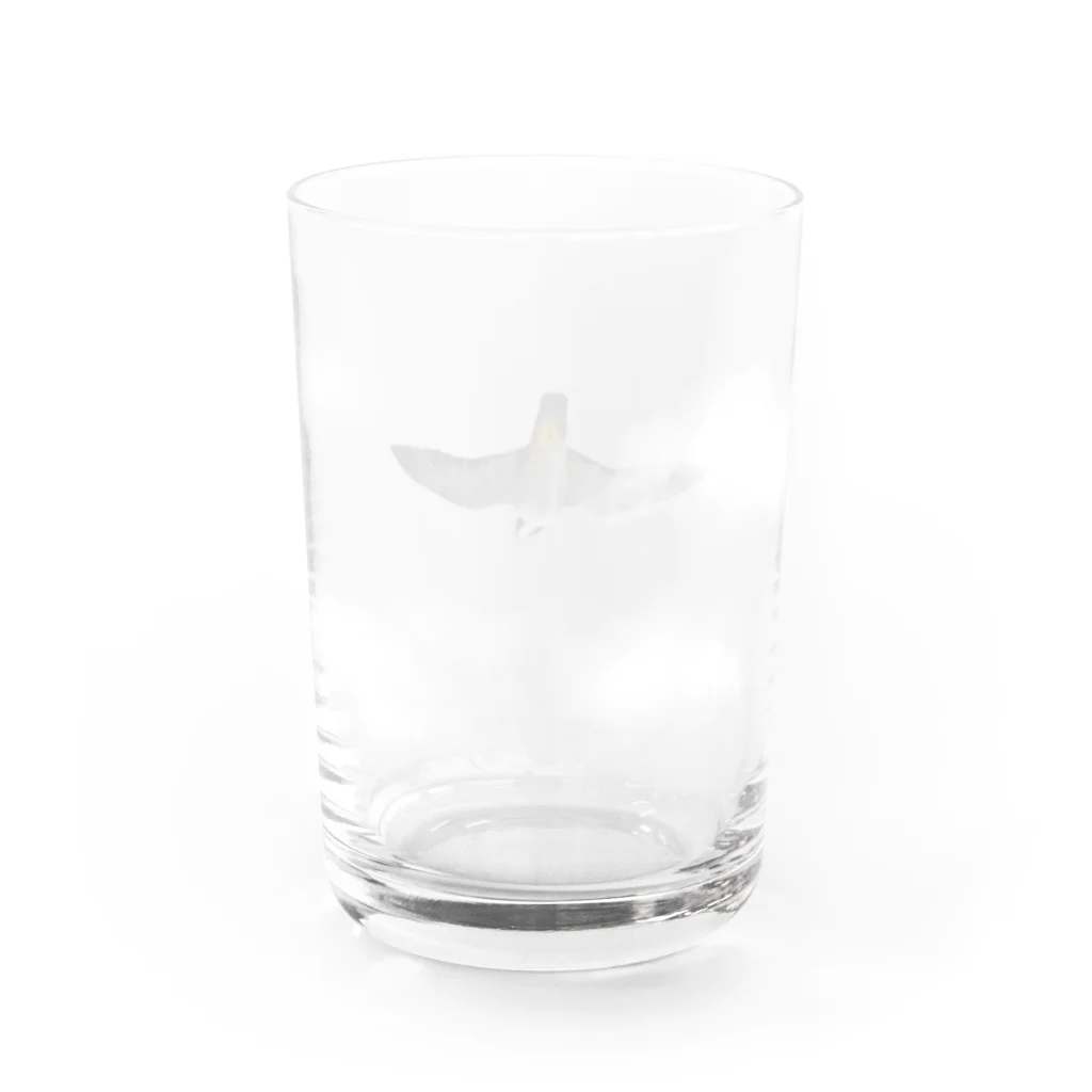 いもけんぴのハヤブサと綿雲 Water Glass :back