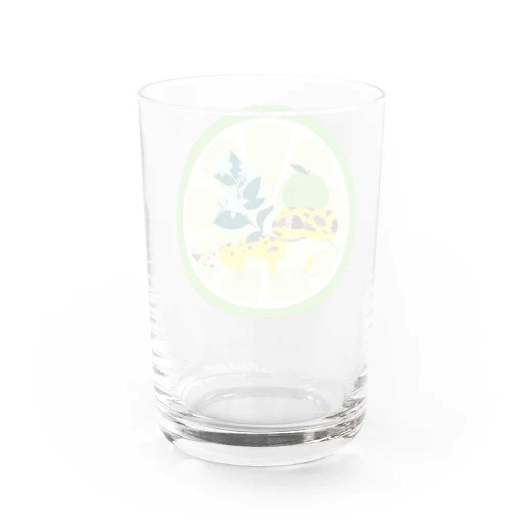 たづのレオパC Water Glass :back