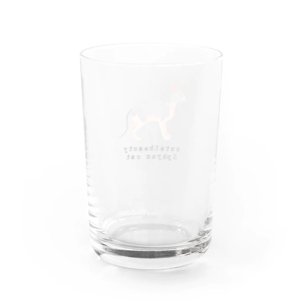 orange_honeyの猫1-13 スフィンクス猫 Water Glass :back