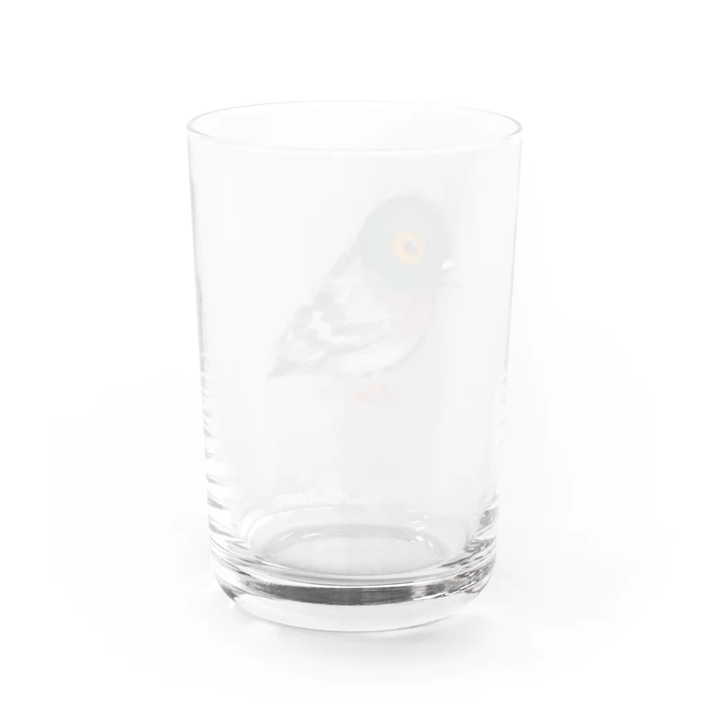 88ucoのhatopoppo Water Glass :back