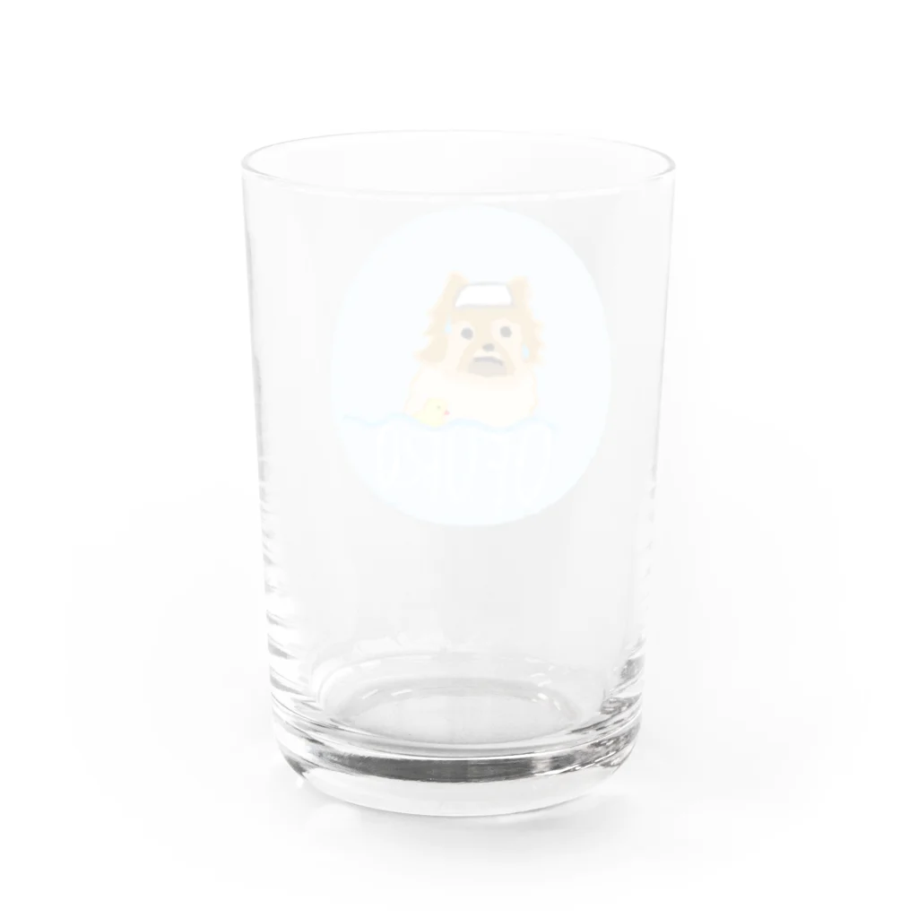 gznのうちのポメラニアン（風呂） Water Glass :back