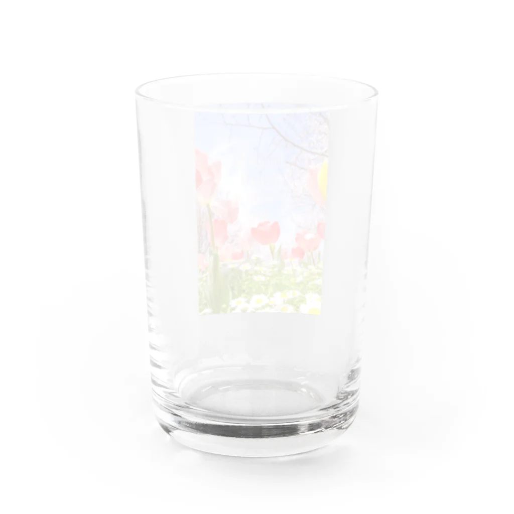 蛍石のI found the breath of spring in the park. Water Glass :back