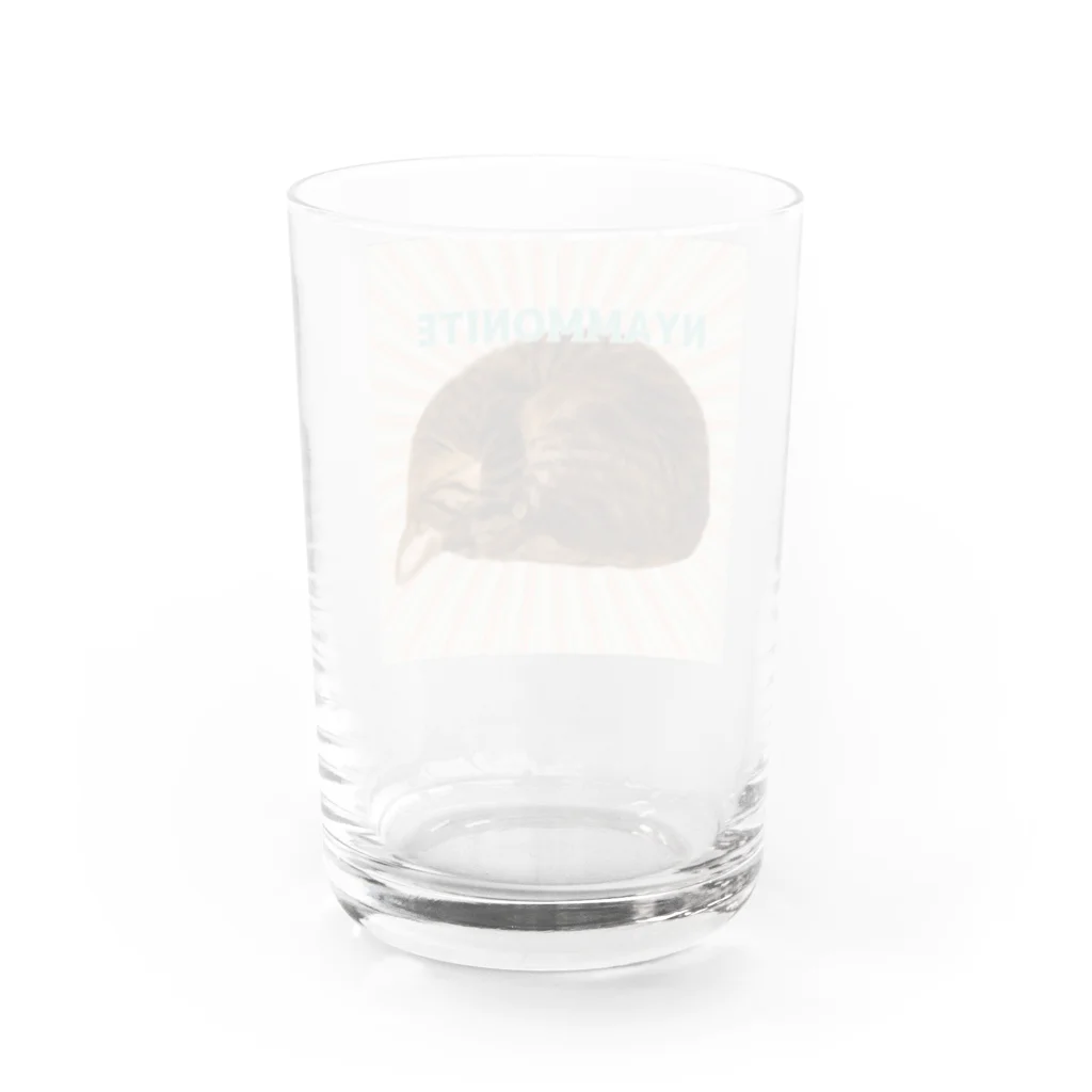 ボダコのレオの必殺モカの「ニャンモナイト」 Water Glass :back