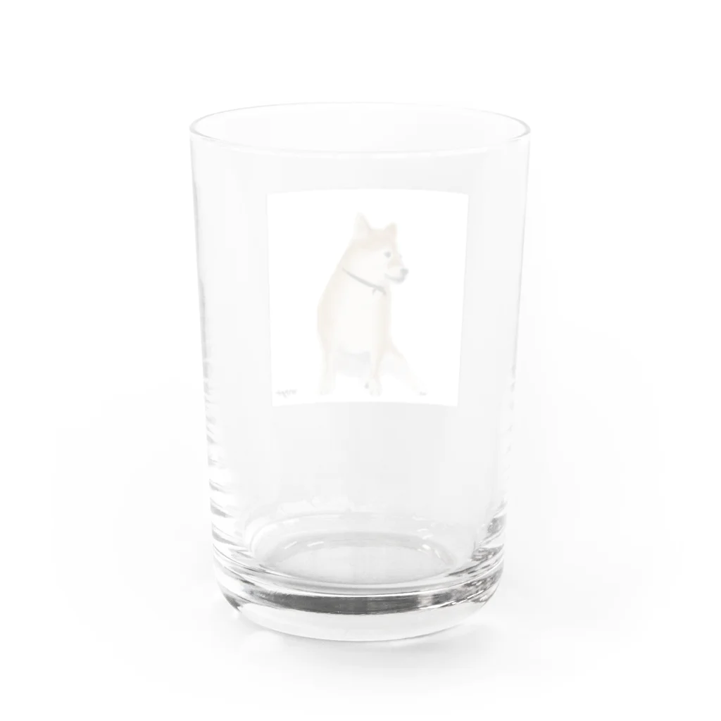 maaaaayaの柴犬 Water Glass :back