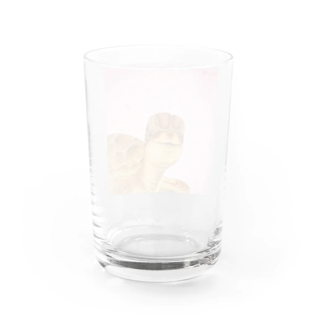 仁音-ninon-絵言葉のウミガメの笑ちゃん グラス反対面