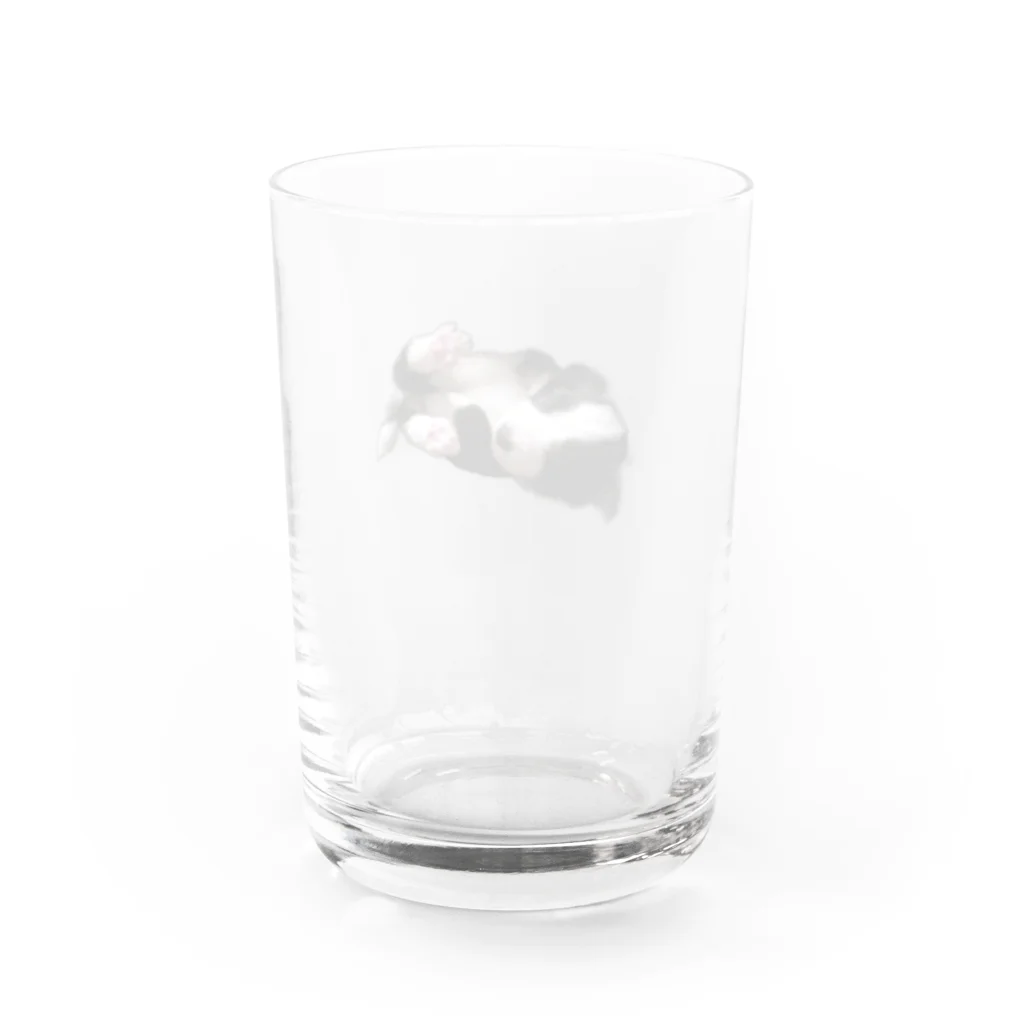 ポップコーンのボーダーコリー Water Glass :back