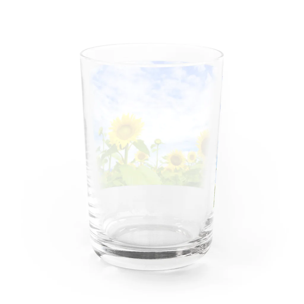 orange_honeyのひまわり4 Water Glass :back