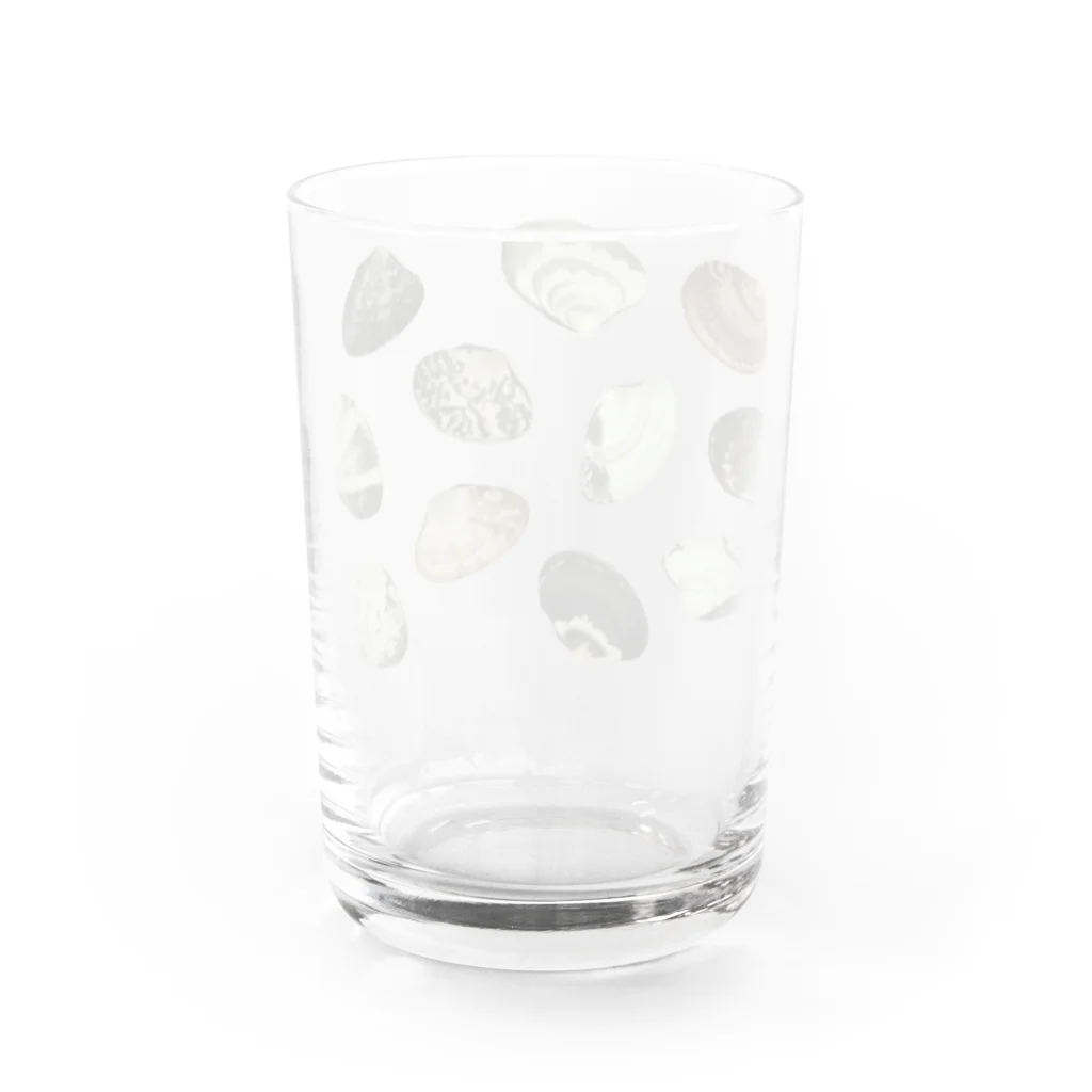 スカシカシパン堂のアサリマニア Water Glass :back