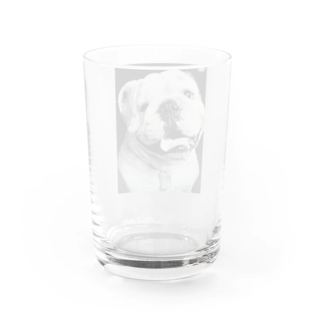 Bullsonのブルドッグ【タイソン】グッズ Water Glass :back