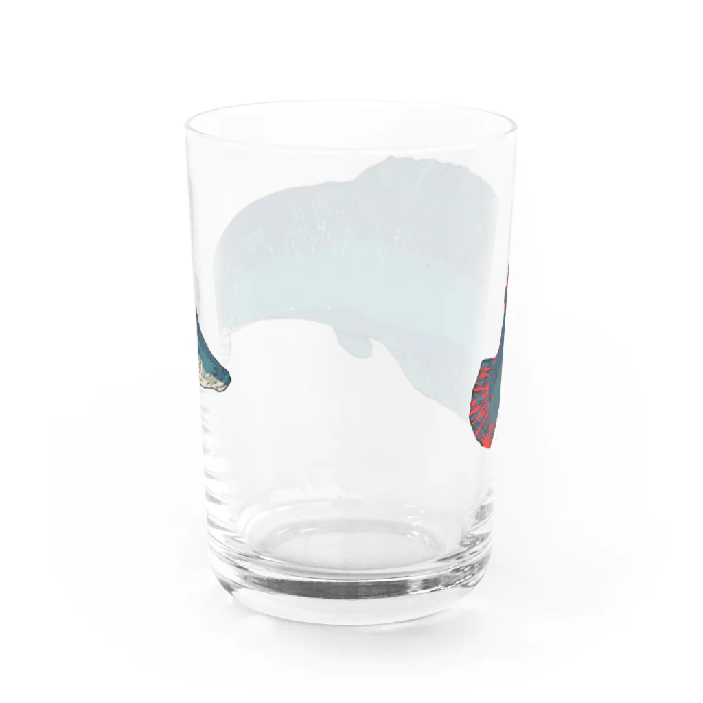恒福水路のピラルクーグラス グラス反対面