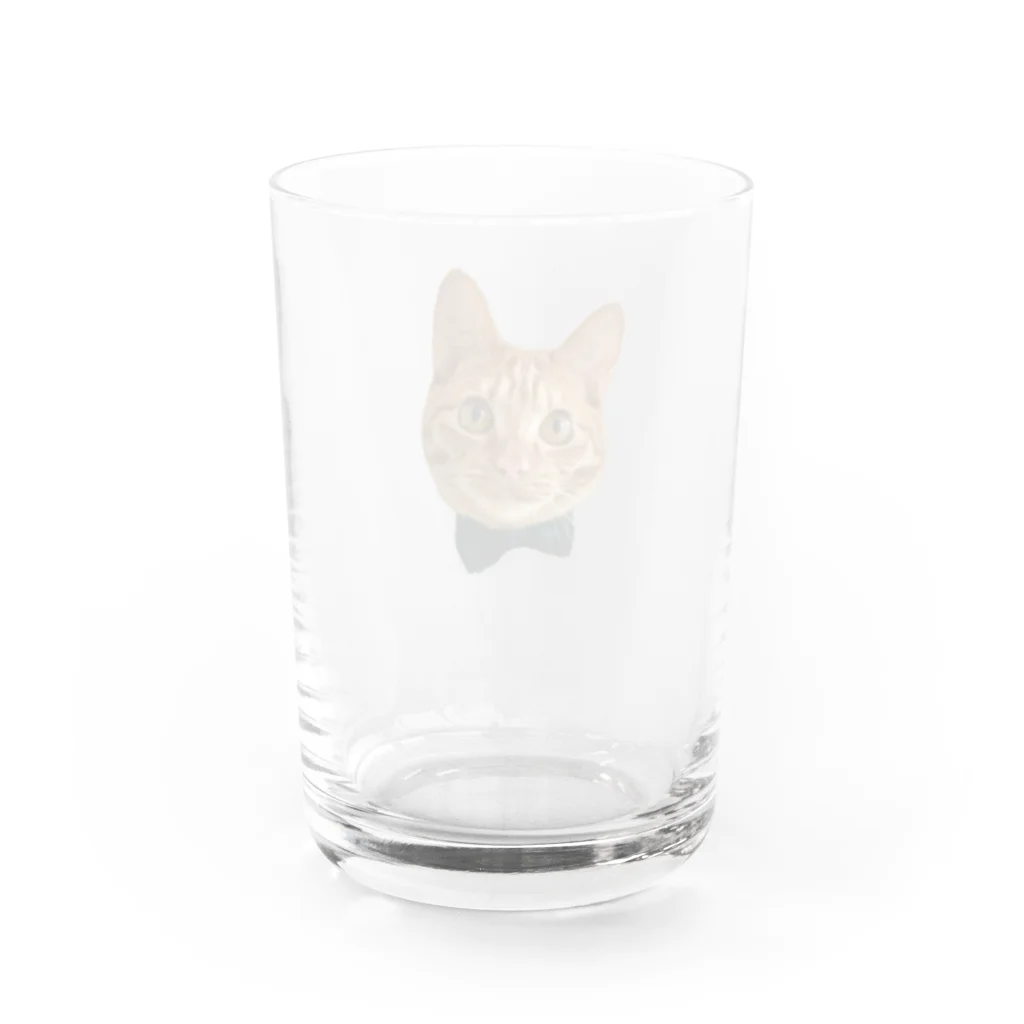 ぽんずのお店🍞のぽんずくん Water Glass :back