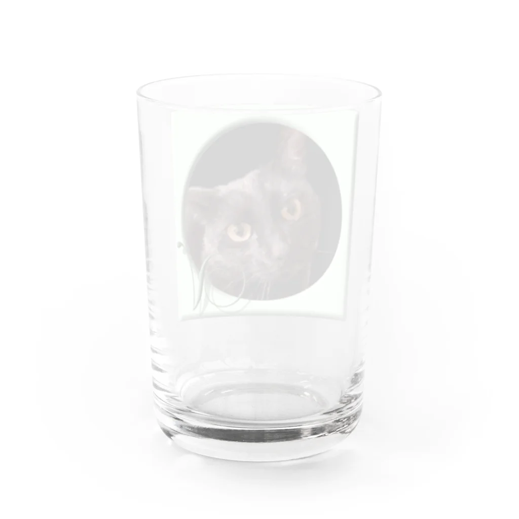 ぬくもふ屋　【猫 犬の似顔絵描き】のv Water Glass :back