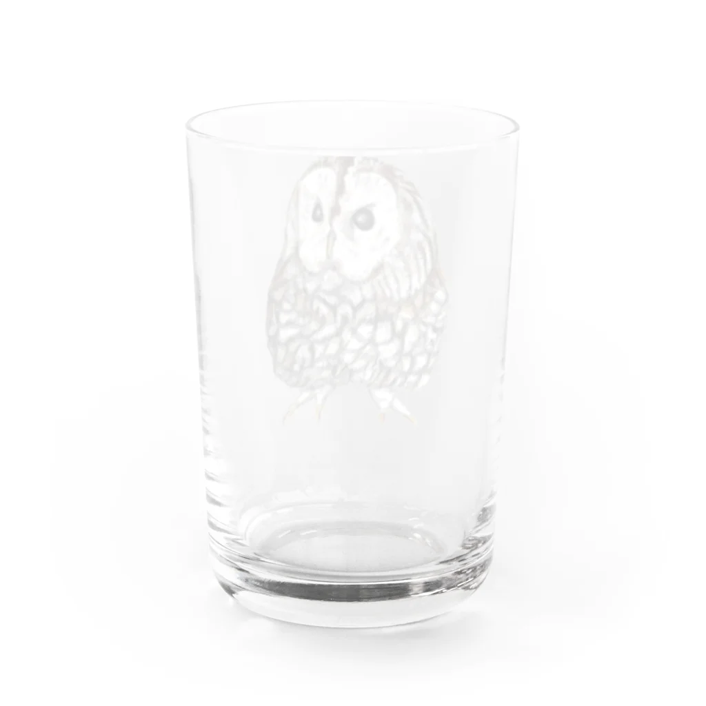 森図鑑の[森図鑑] モリフクロウ Water Glass :back