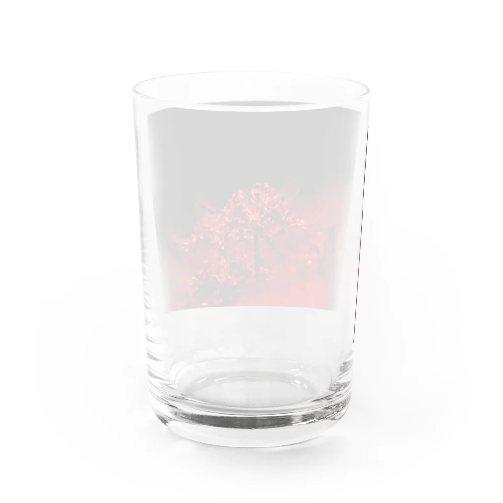 Daijuの曼珠沙華 Water Glass :back