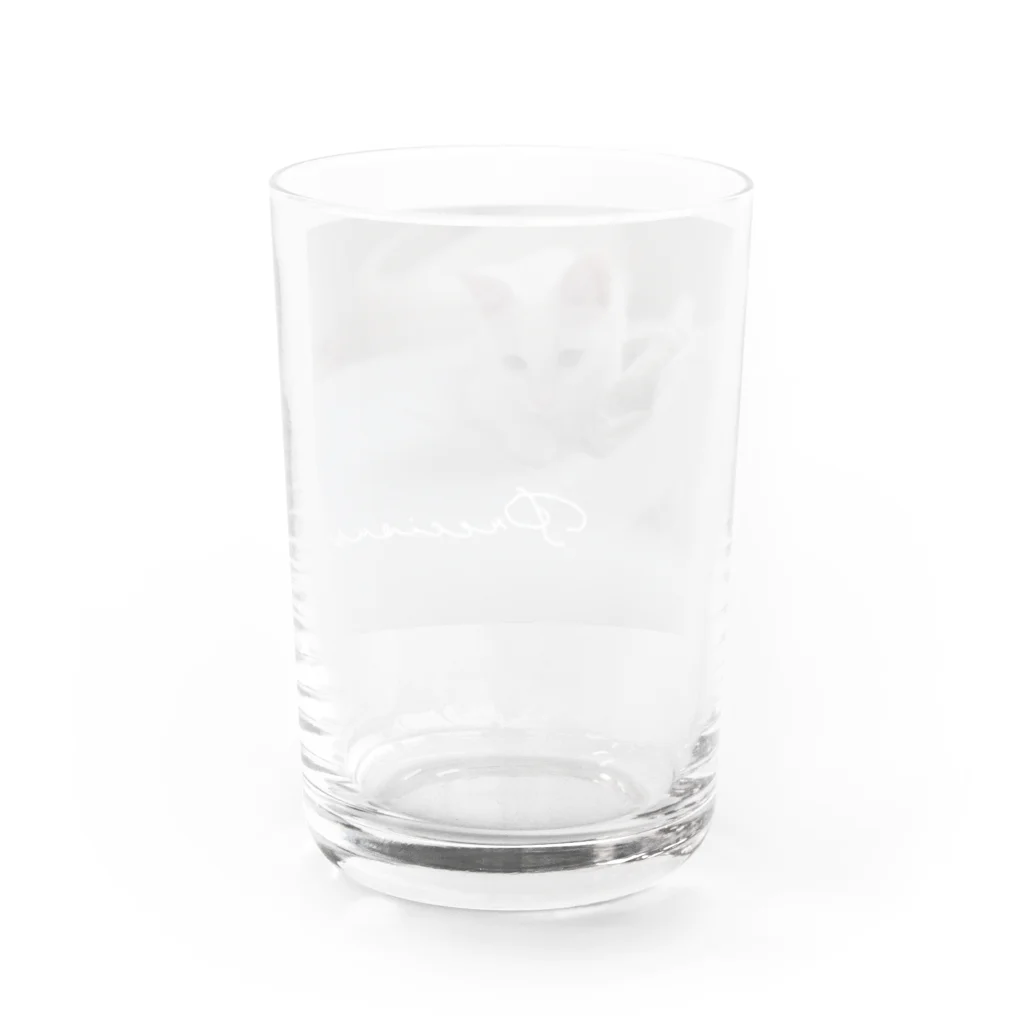 ステラ屋さんのprecious ステラさん Water Glass :back