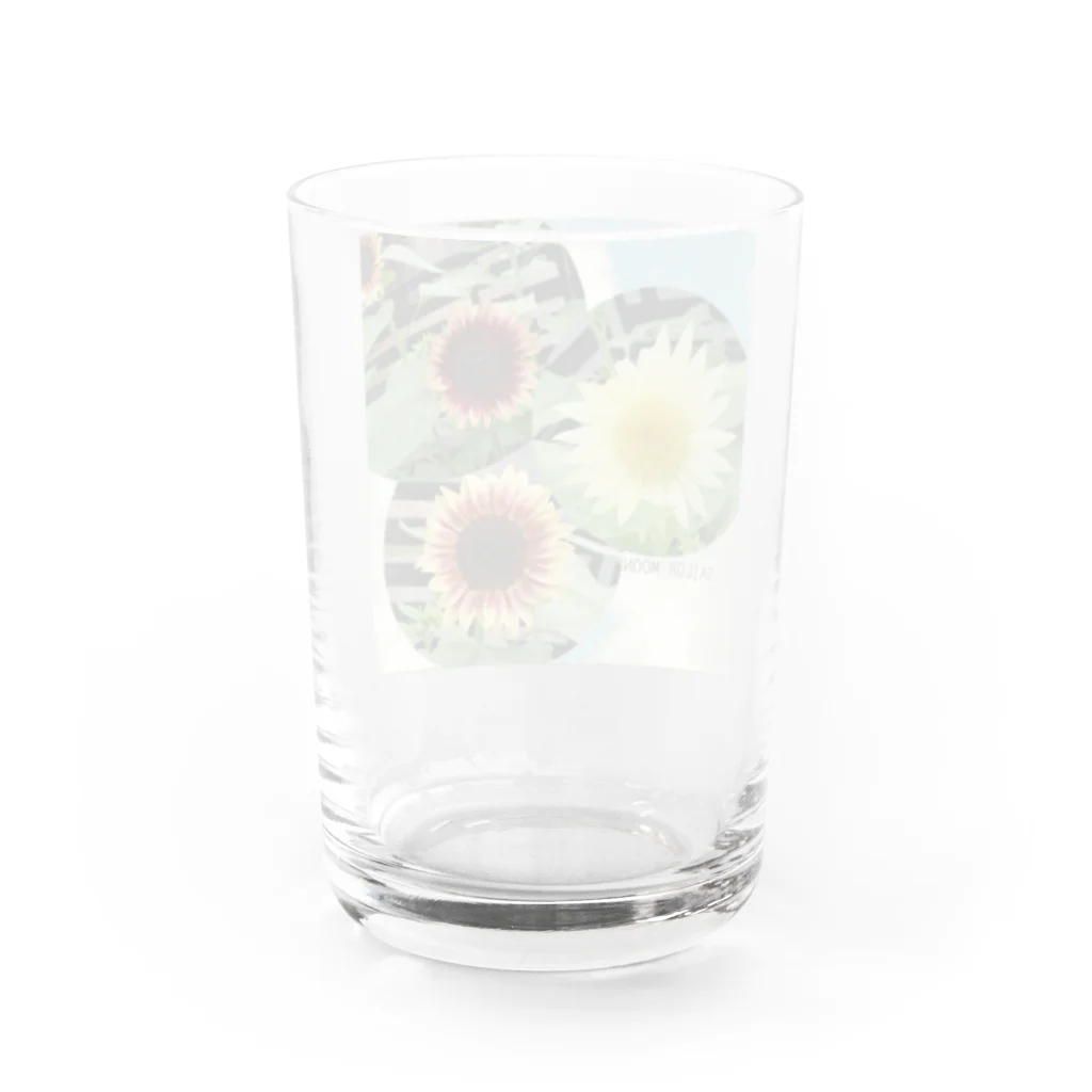 Hana123のめずらしい向日葵 Water Glass :back