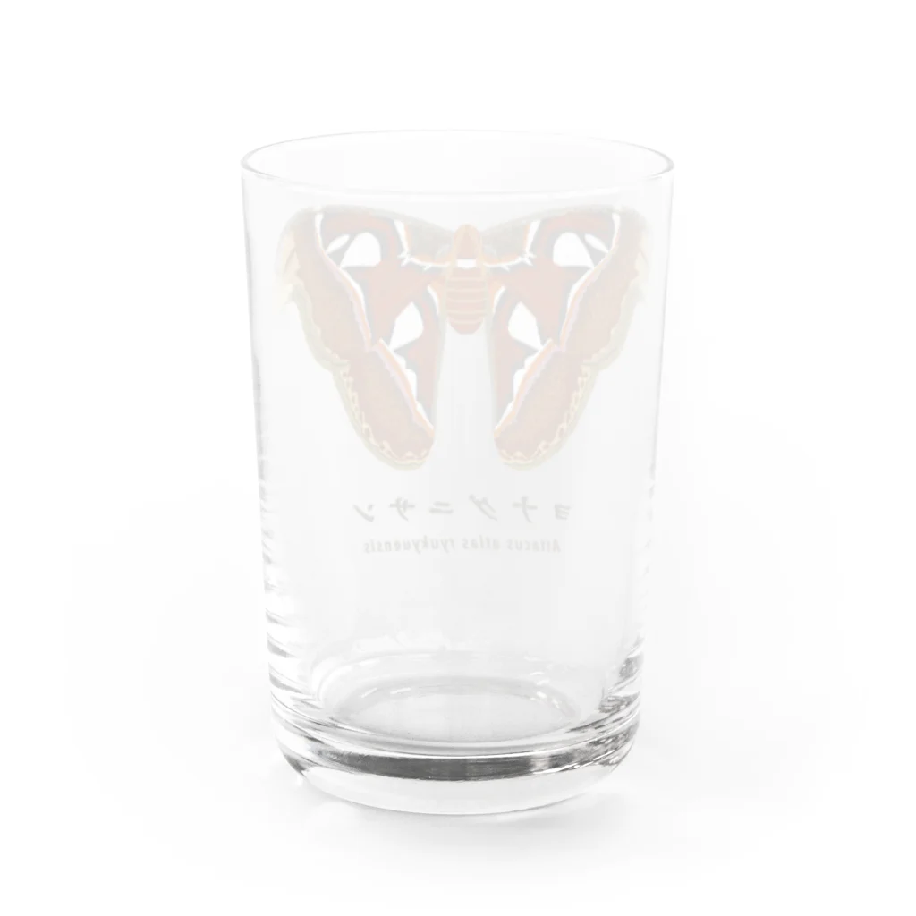 さちこの生物雑貨のヨナグニサン【リアル版】 Water Glass :back