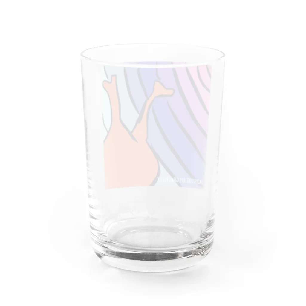 パキポキさんのPachypodium Gracilius  Water Glass :back