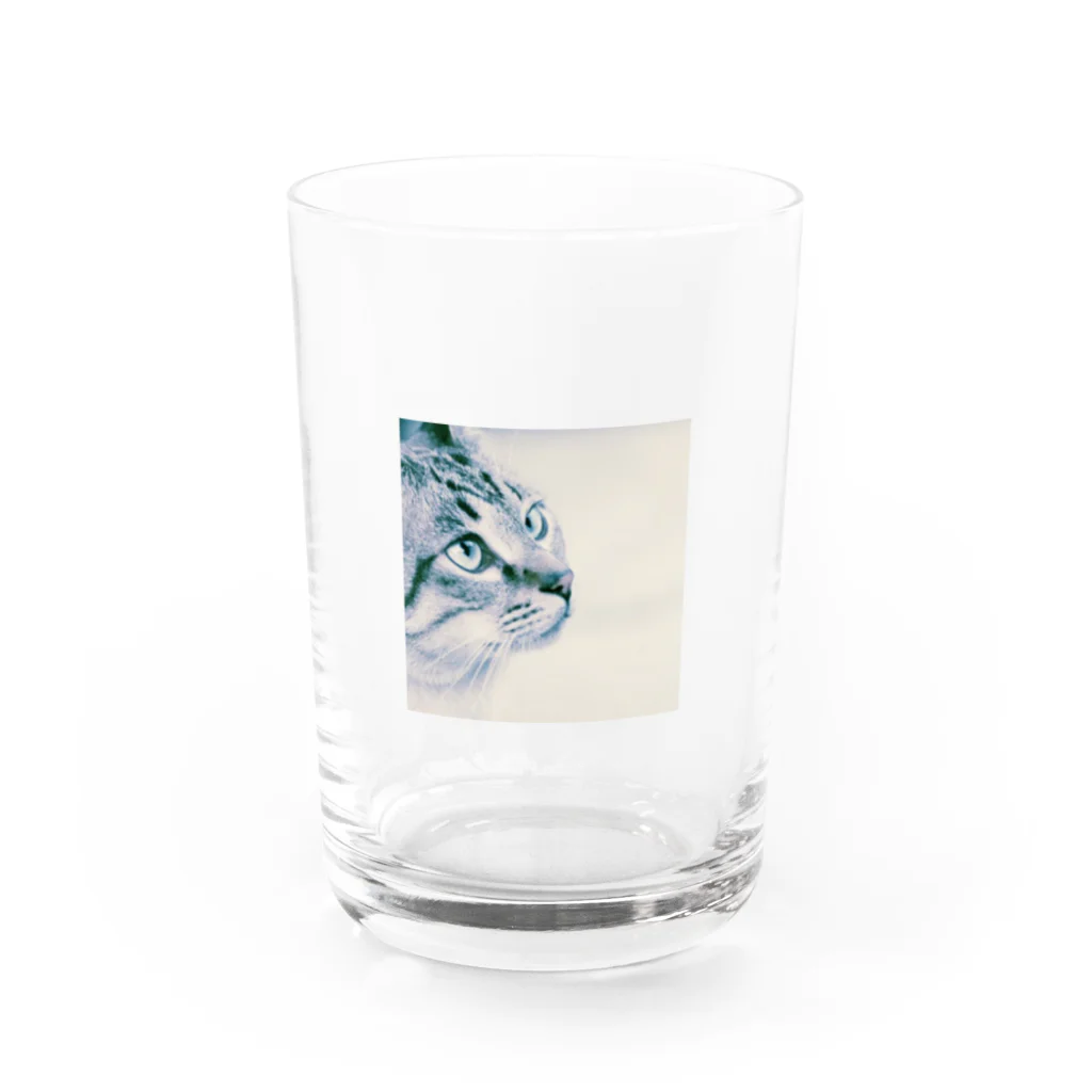 0isall_zoologicalの猫部2 Water Glass :front