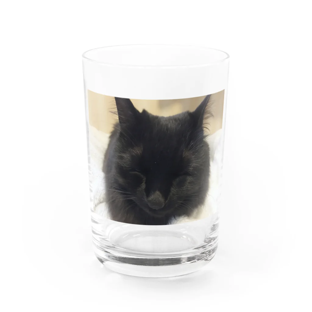 ニャンコの秘密基地のみみちゃん Water Glass :front