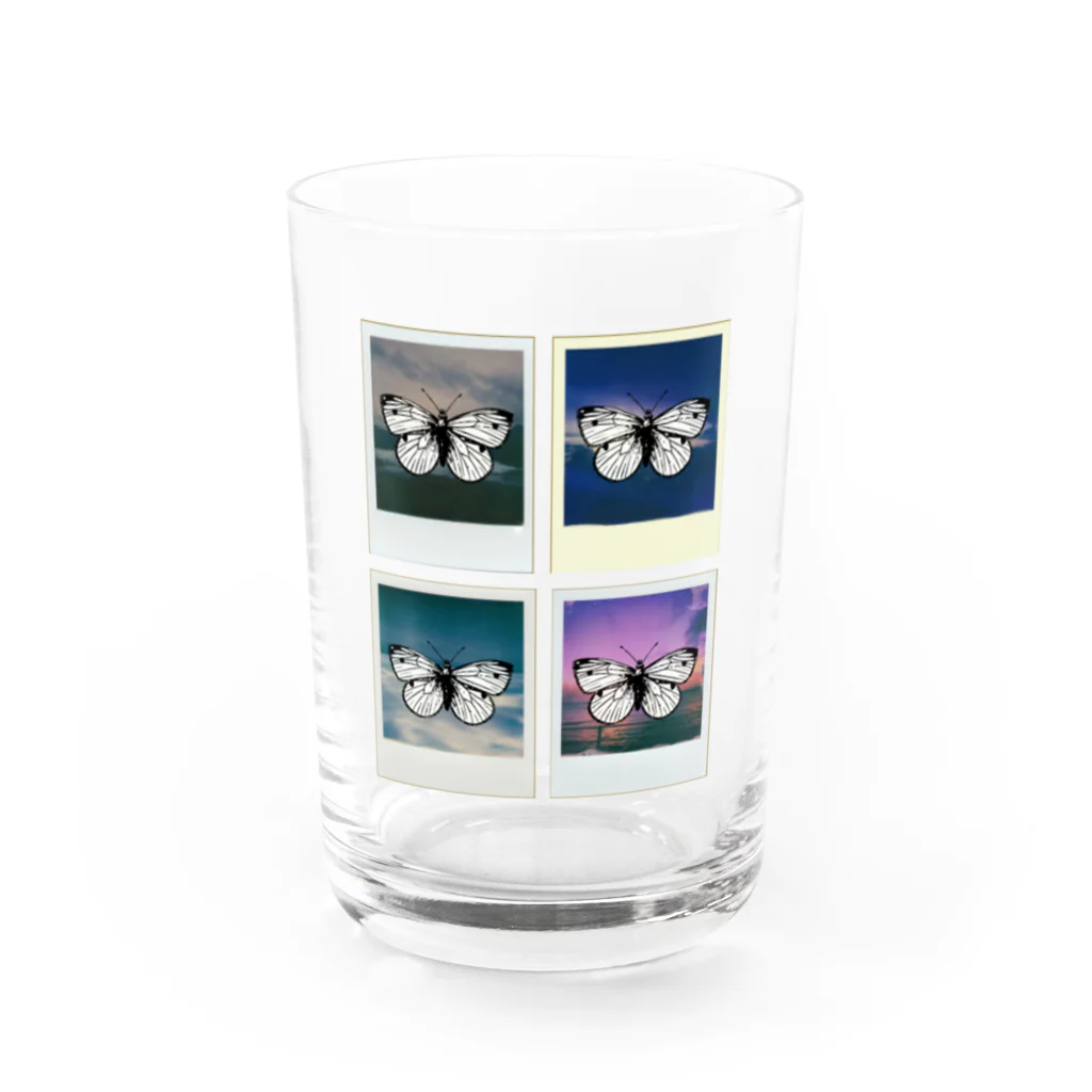 SUNOMONOの記憶標本 Water Glass :front