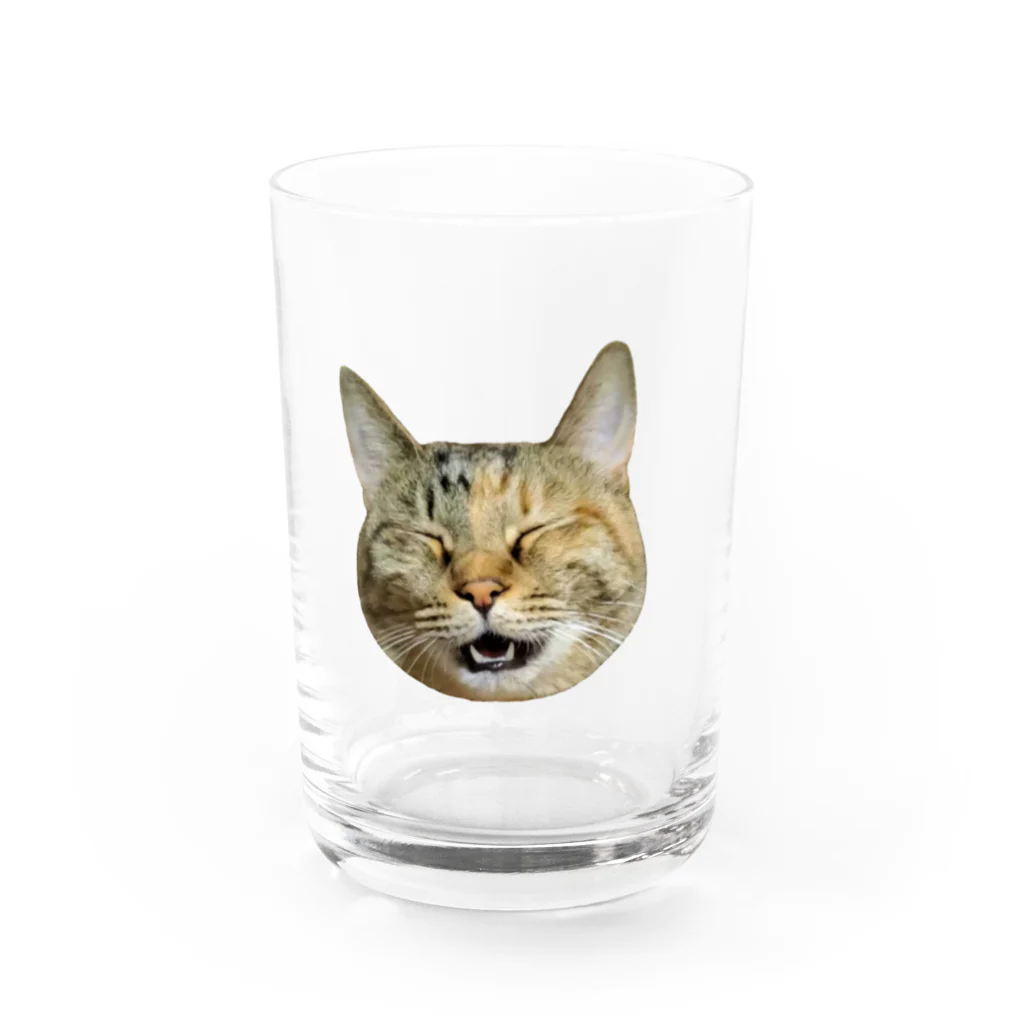 桃くるみSHOPのアハハにゃん Water Glass :front