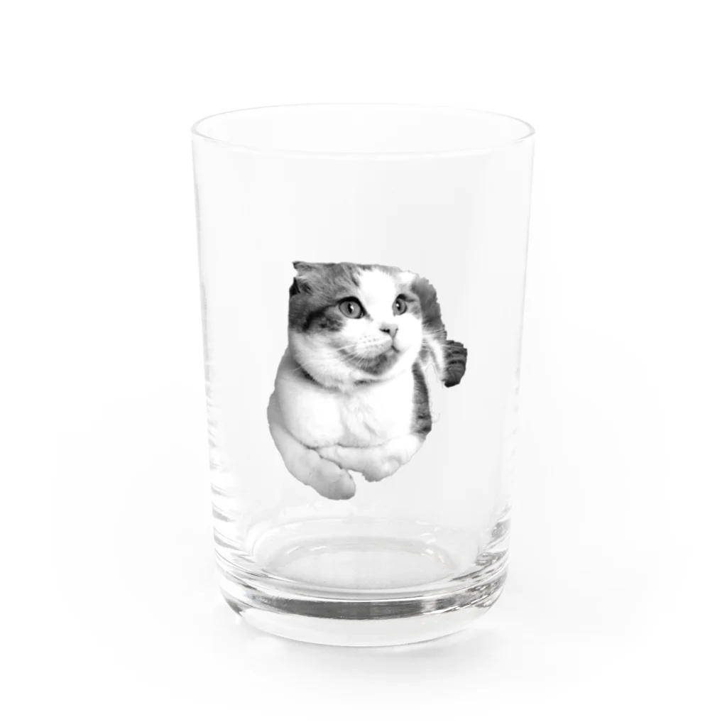 SHOPシャコタン2号店のCAT-M Water Glass :front