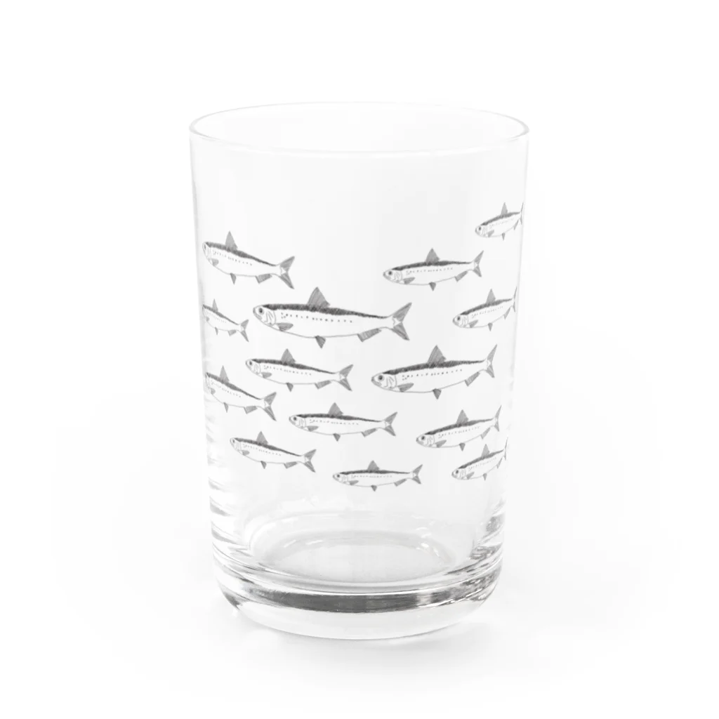 ただの釣り好きのマイワシの群れ Water Glass :front