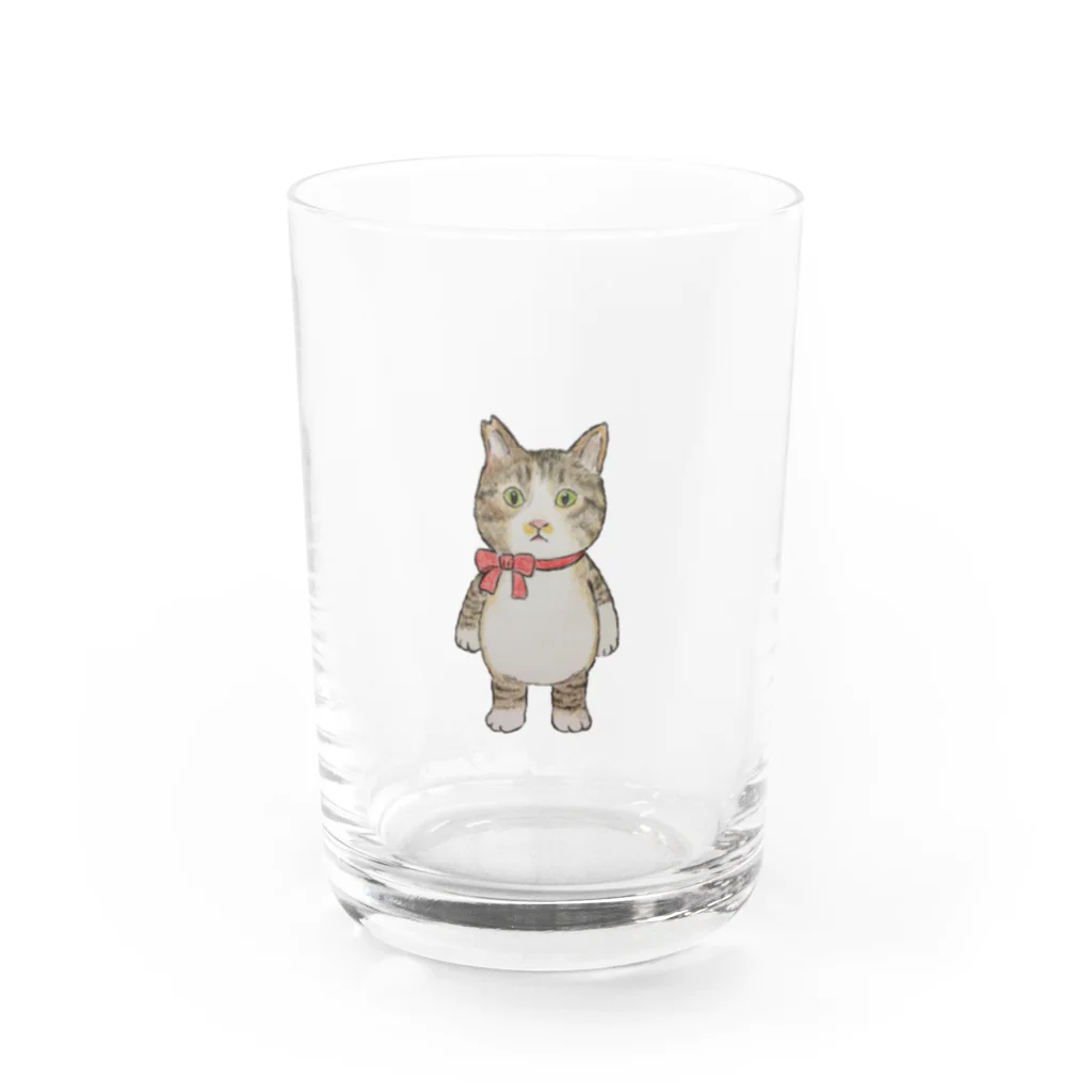 KOBEアニマルレスキューPinkyの保護っ子きゅうたの赤いリボン Water Glass :front